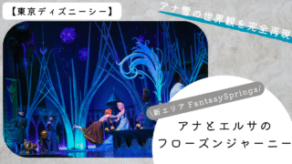 【アナとエルサのフローズンジャーニー】スリリングな新アトラクションでアナと雪の女王のストーリーを撮る。【ファンタジースプリングス】