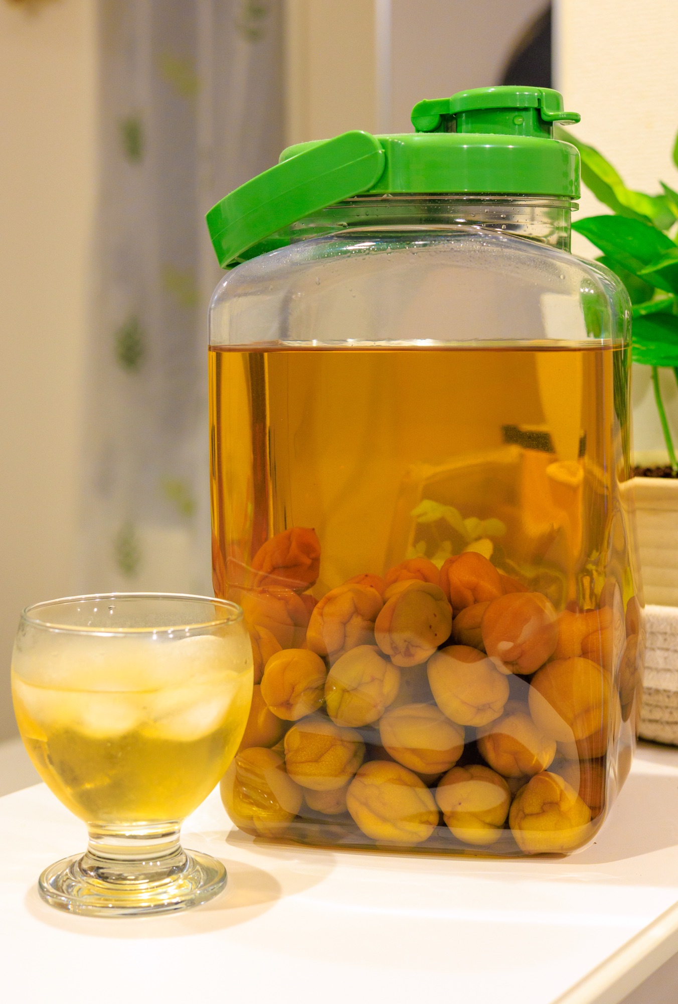 初めての梅酒作り｜自家製梅酒が美味しくできました